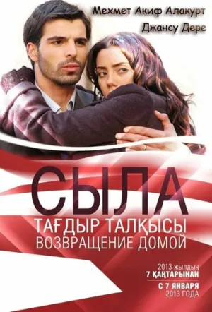 Сыла. Возвращение домой (сериал 2006)