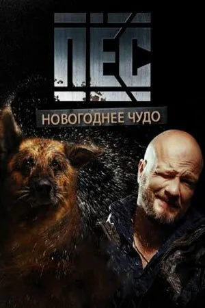 Пёс. Новогоднее чудо (сериал 2018)