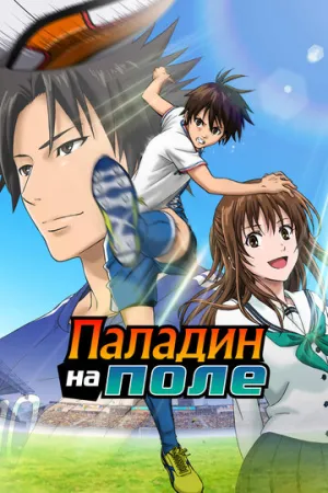 Паладин на поле (сериал 2012)