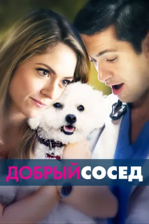 Добрый сосед (2017)