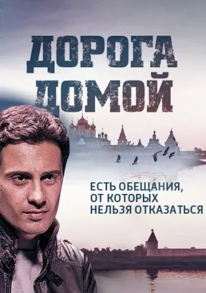 Дорога домой (сериал 2014)