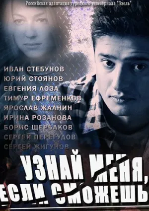 Узнай меня, если сможешь (сериал 2014)