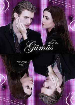 Серебро (сериал 2005)