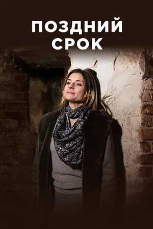 Поздний срок (сериал 2019)