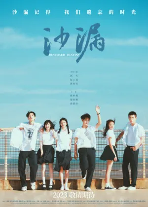 Перевернутая судьба (2024)