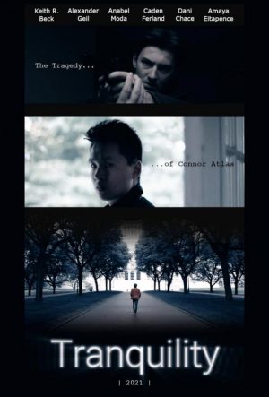 Успокоение — независимый фильм (2021)